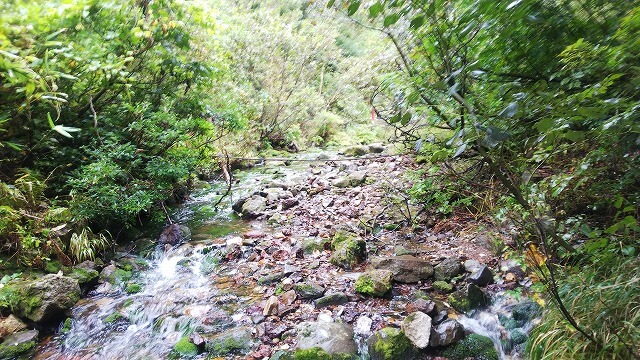 桶木沢と登山道の交差